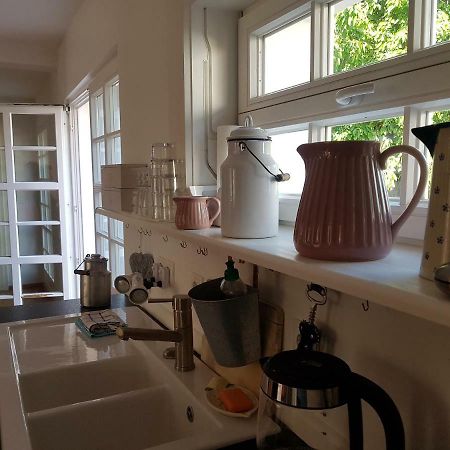 Ferienidyll-Reitwein Villa Esterno foto