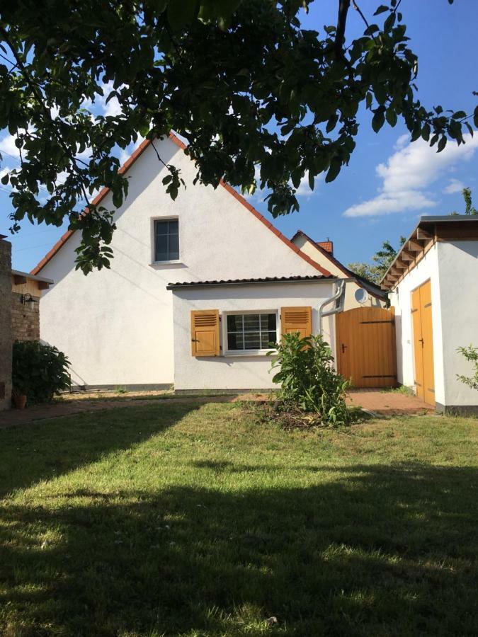Ferienidyll-Reitwein Villa Esterno foto