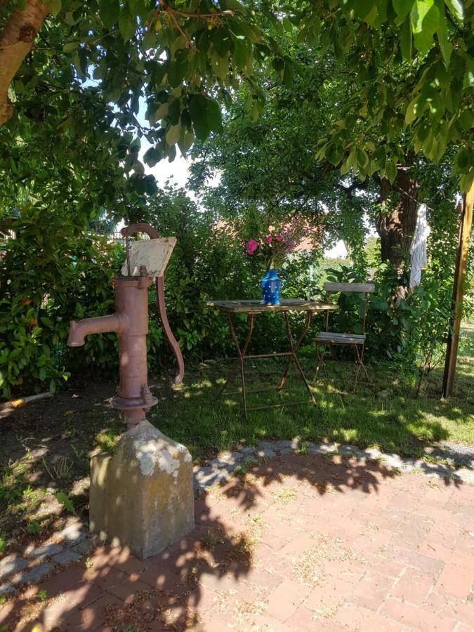 Ferienidyll-Reitwein Villa Esterno foto